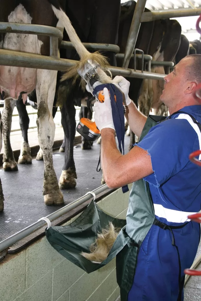 Tailwell MK 2 Cattle Tail Trimmer Mk 2 Shoof (standard blades)