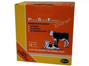 Calf Health