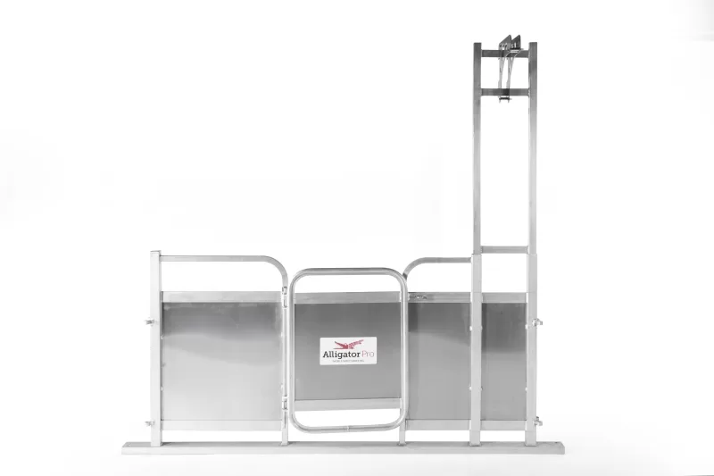 Alligator Sheep Shearing Pen Wall Standard