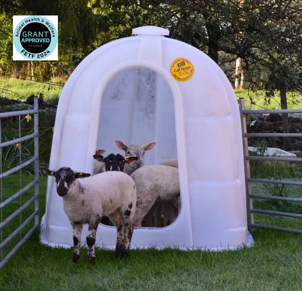 JFC Large Single Lambing Pen CH110
