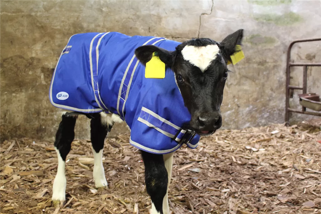 JFC Calf Jackets Pack of 4