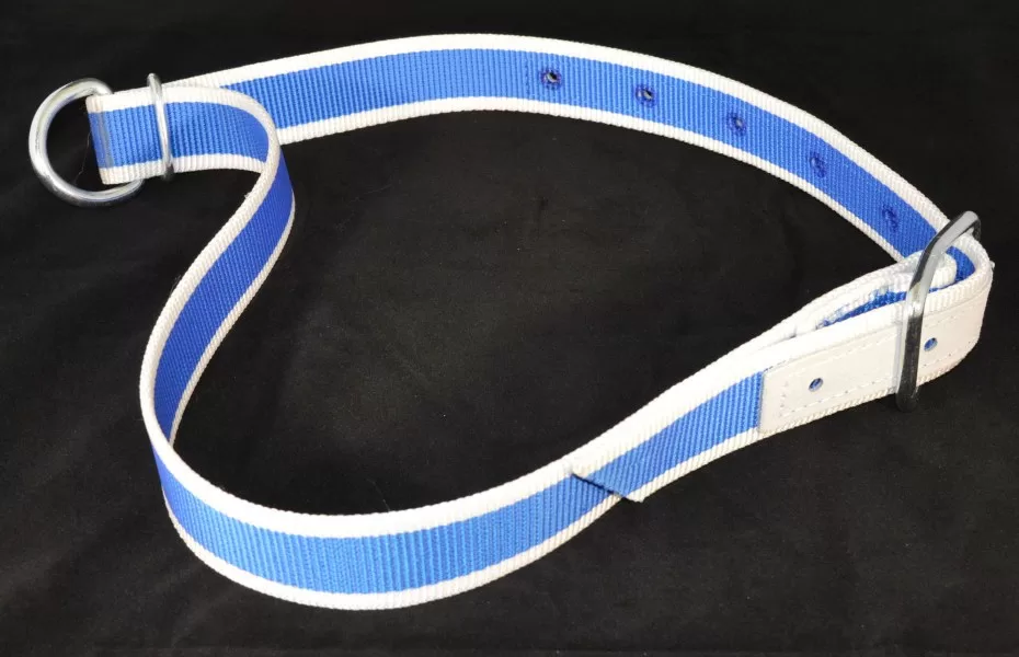 Cow Collar 40mm x 1.3m