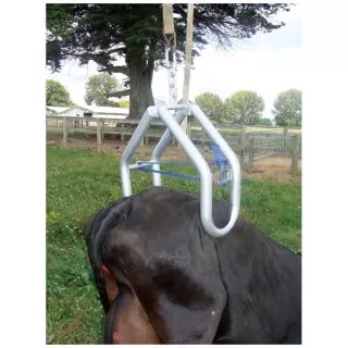 Shoof Quick Lift Cow Lifter Complete