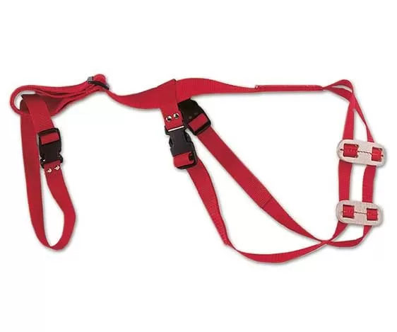 Ewe Truss - Prolapse Truss / Harness