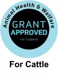 FETF 2026 - For Cattle