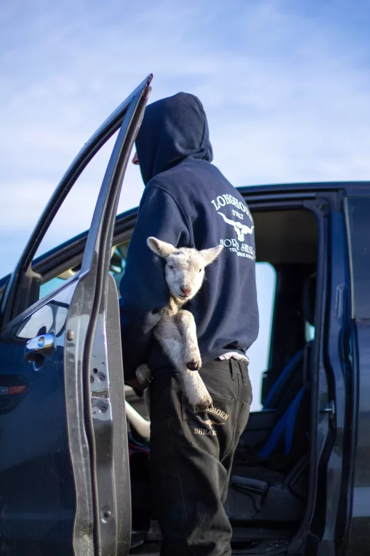 Longhorn Shearing Original Hoodie