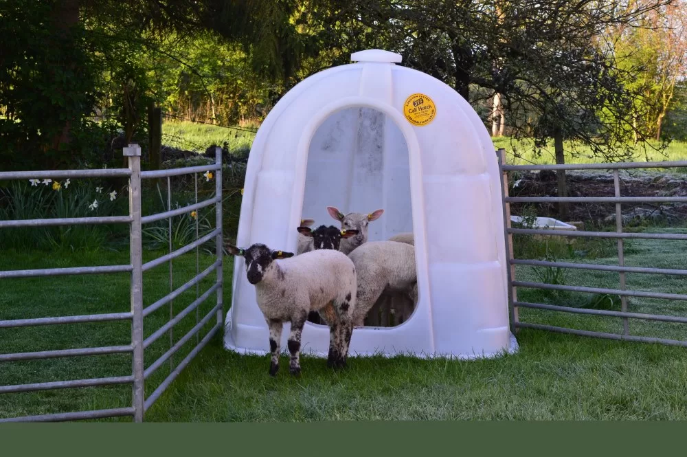 JFC Lamb Hutch / Shelter