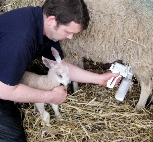 Udderly EZ Sheep Milker / Colostrum Milker