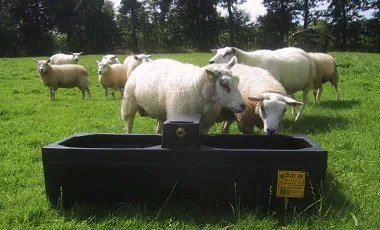 Feeders & Drinkers