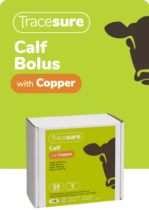 Animax Tracesure Calf Bolus with Copper pack of 20