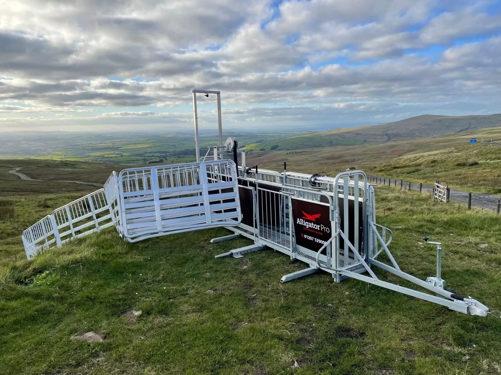 Alligator Pro SK Sheep Handling System