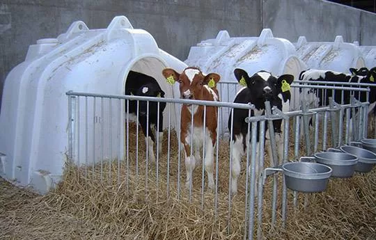 Calf Hutches / Shelters