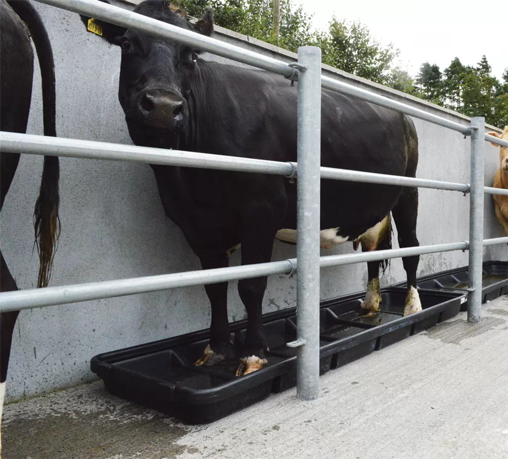 JFC Cattle Footbath 2.5m Interlocking Cow/Sheep (Smooth Base) Fo