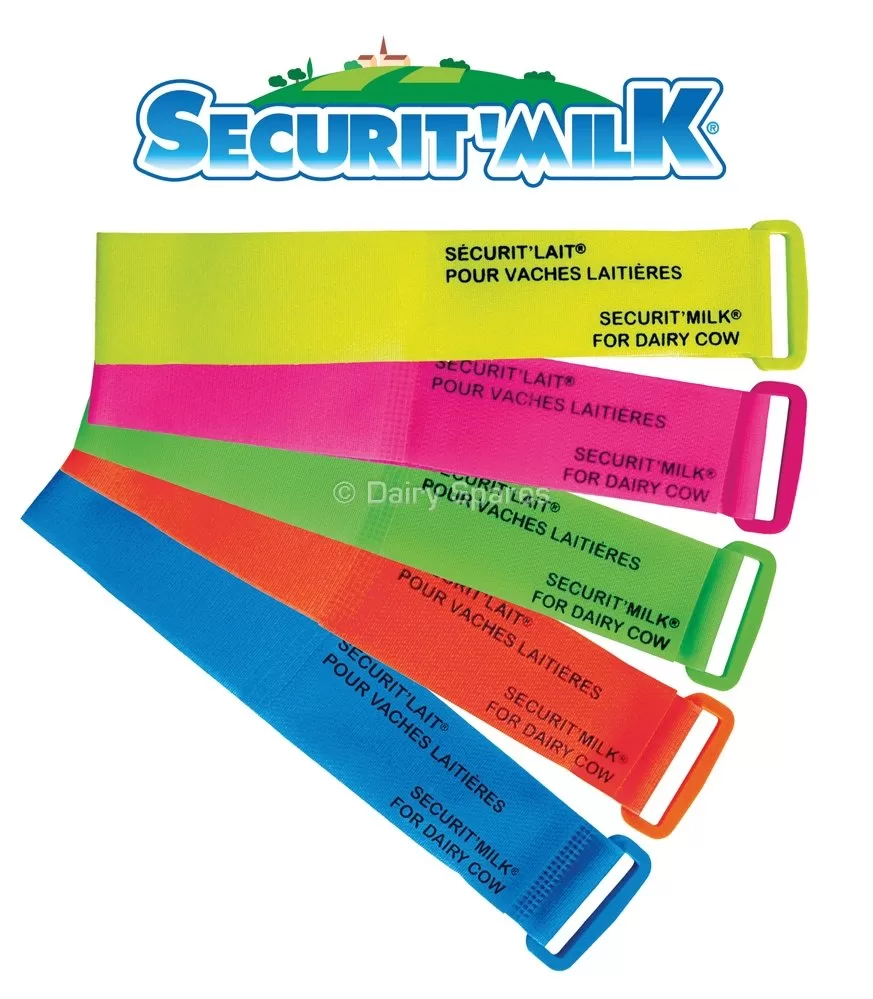 Securit'Milk Legbands 6pk