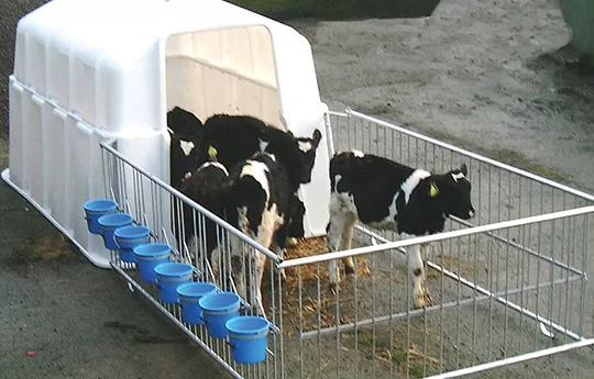 JFC Super Calf Group Hutch 8 Calves CH300